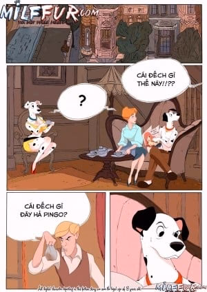 Bad Pingo