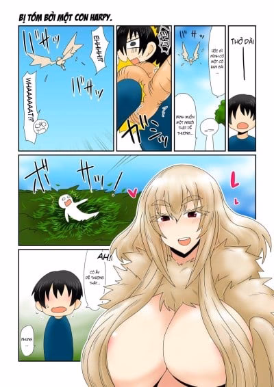 Bắt Gặp Harpy-San