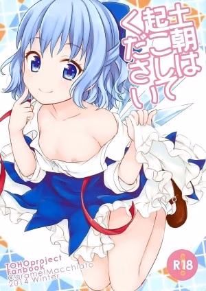 Hãy Đánh Thức Anh Dậy Vào Sáng Thứ 7 (Touhou Project)