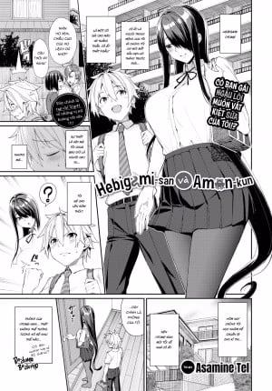 Hebigami-San Và Amon-Kun
