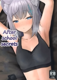 Houkago No Himitsu