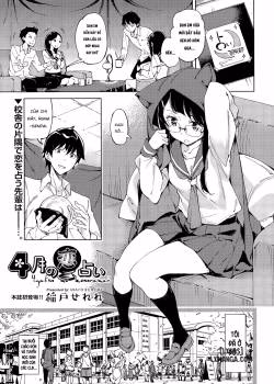 Love Fortune In April
