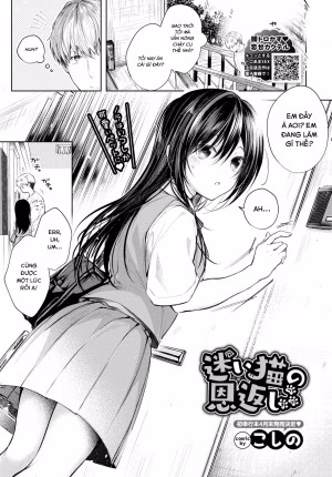 Mayoineko No Ongaeshi Tsuzuki