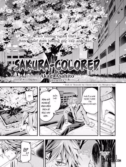 Sakura-Colored