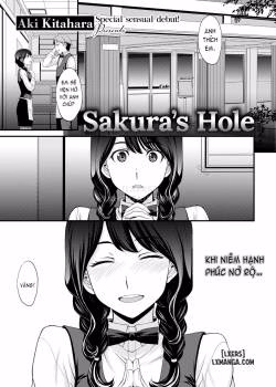 Sakura’s Hole