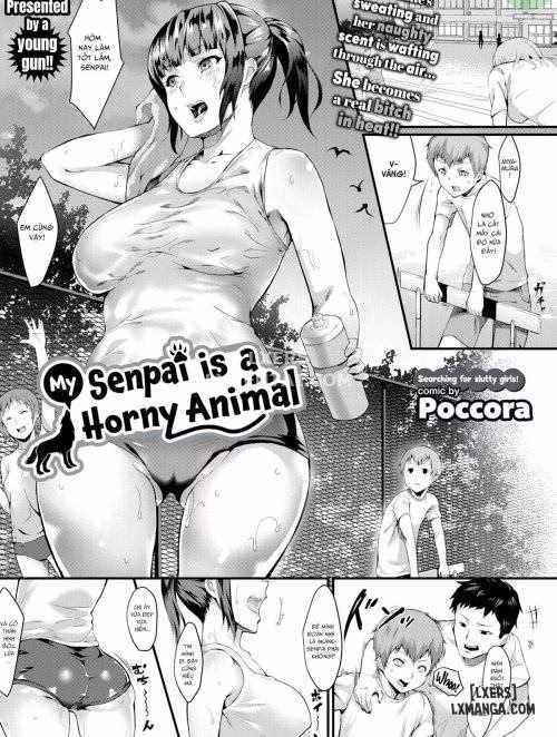 Senpai Của Tôi Là Một Con Thú