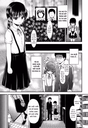 Shiawase Kazoku No Tsukurikata