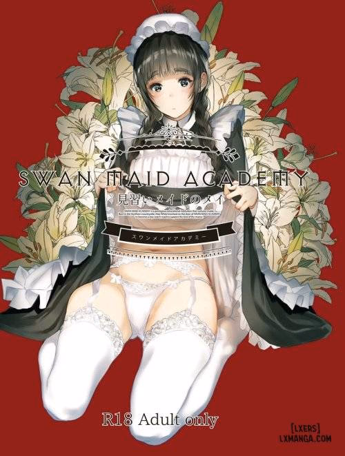 Swan Maid Academy