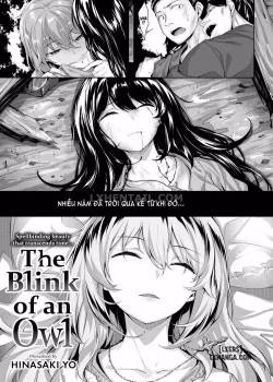 The Blink Of An Owl