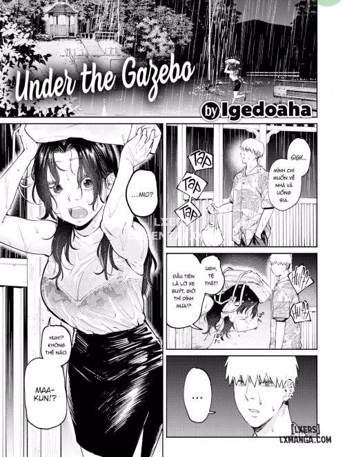 Under The Gazebo