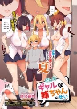 Zenbu Gal Na Nee-Chan No Sei